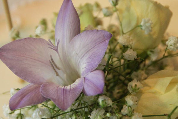 Funeral Receptions, Essex, Colchester, Colne Valley Golf Club